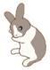 䂸ۂ񂳂̂